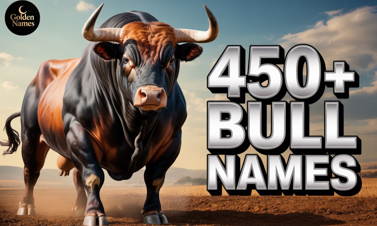 450+ Bull Names
