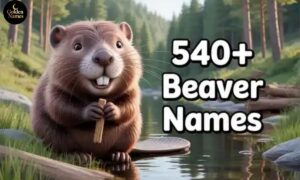 540+ Beaver Names