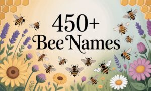 450+ Bee Names
