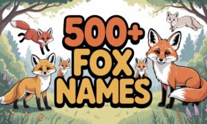 Fox Names