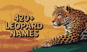 420+ Leopard Names