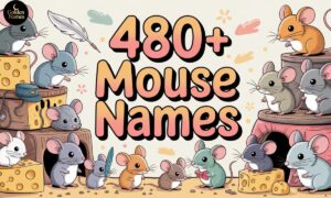 Mouse Names