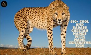 510+ Cool And Badass Cheetah Names With Name Generator 2026