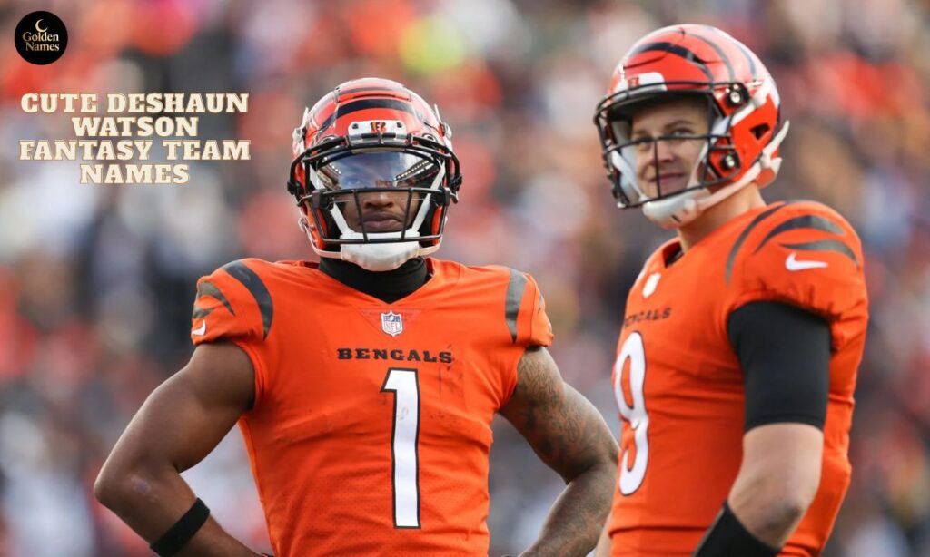 Cute Deshaun Watson Fantasy Team Names