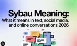 SYBAU Meaning What It Means in Text, Social Media, and Online Conversations 2026