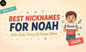 Best Nicknames for Noah 250+ Cute, Funny, and Unique Ideas 2026