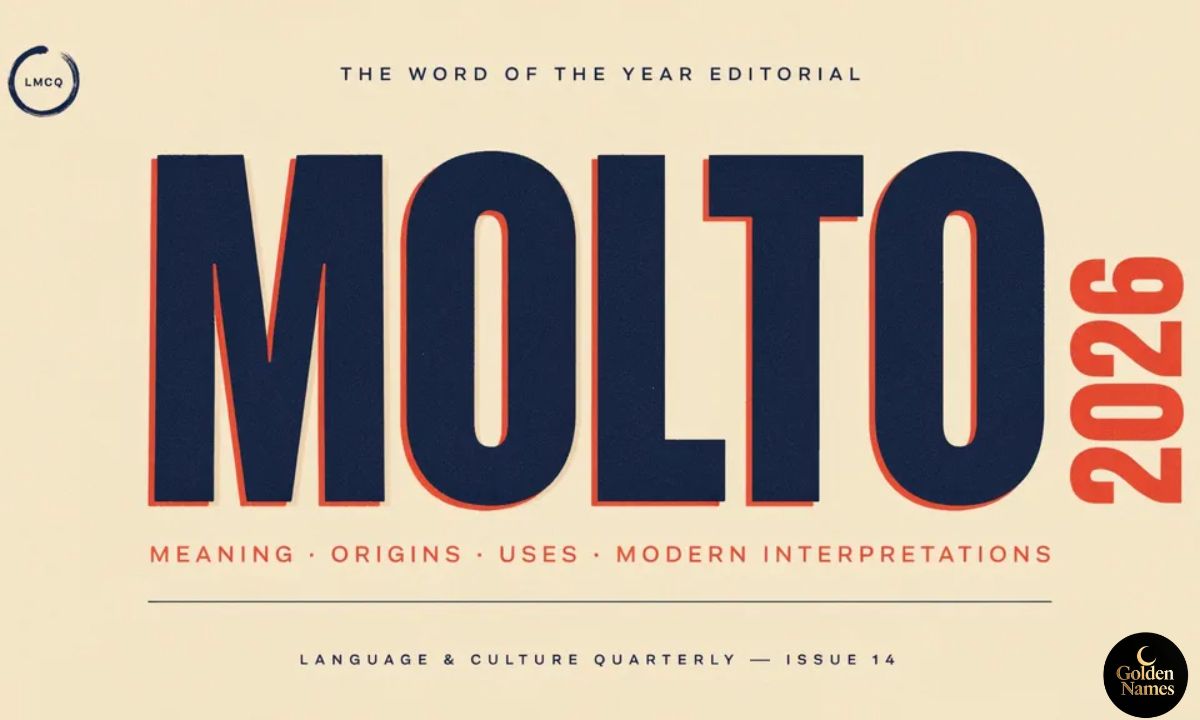 Molto Meaning Definition, Origins, Uses, and Modern Interpretations 2026