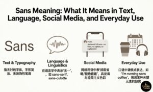 Sans Meaning What It Means in Text, Language, Social Media, and Everyday Use
