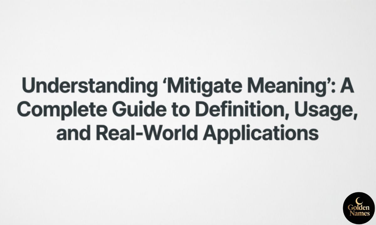 Understanding Mitigate Meaning A Complete Guide to Definition, Usage, and Real-World Applications
