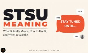 STSU Meaning in Text What It Really Means, How to Use It, and When to Avoid It