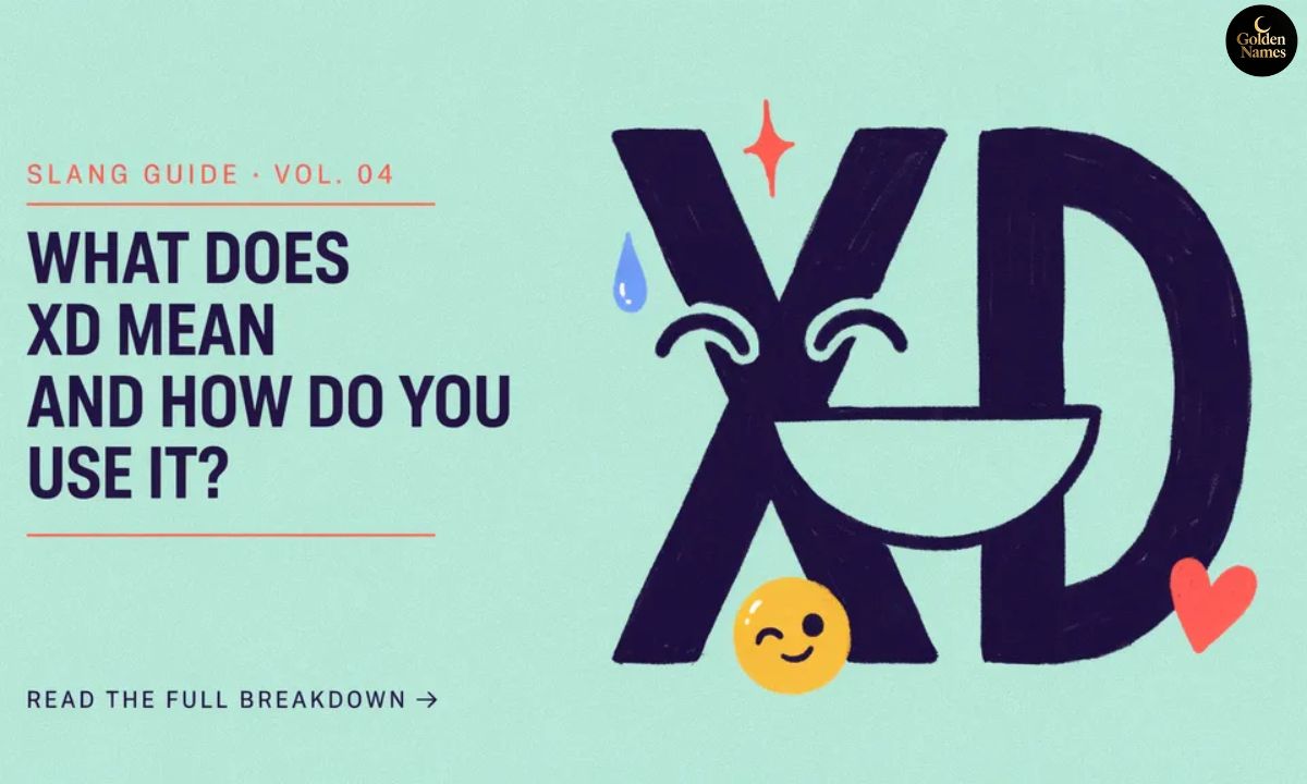 XD Meaning What Does XD Mean and How Do You Use It